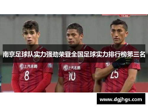 南京足球队实力强劲荣登全国足球实力排行榜第三名